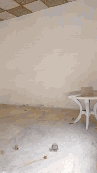 منطقة الدوانم • بيت للايجار • ١٠٠م