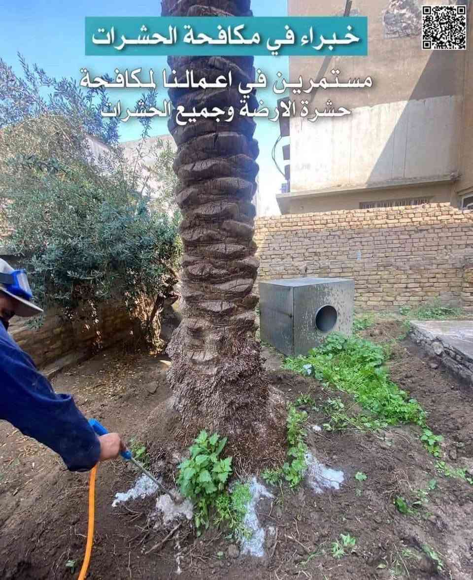 ✅ القضاء التام لحشرة الارضة بالطرق العلمية الحديثة

- نحن نفهم أن كُل مشكلة تتعلق بحشرة الارضة تختلف من منزل الى أخر ، لذلك نقدم حلولًا مخصصة لمكافحة حشرة الارضة تتناسب مع احتياجاتك الخاصة 

- ​نحن ملتزمون بتقديم افضل خدمة لمكافحة حشرة الارضة بأستخدام أحدث التقنيات والمواد الأمـنة الصديقة للبيئة

-​ لدينا فريق عمل يتميز بالخبرة والكفائة العالية في مجال مكافحة الارضة وجميع الحشرات ​

- تتميز خدماتنا بالضمان و الجودة والأسعار التنافسية 
_____________________ 
عملنا دور سكنيه دوائر حكوميه

شركه الجوهرة   خيارك الأول و الأفضل  👍

للحجز وللاستفسار 
***********

العنوان : صلاح الدين
