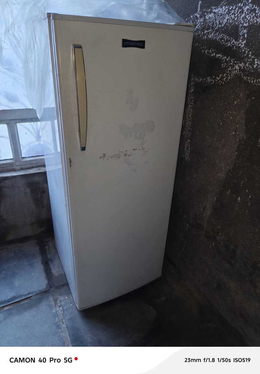 ثلاجة كونكورد حجم وسط كمبريسر بانسونيك ياباني شرط التجميد المكان التضحيه شارع العياده السعر 125000
***********
