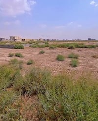 الجزيره • مقابيل ميناء المعقل • قطع أرض ٢٠٠م ١٠٠م