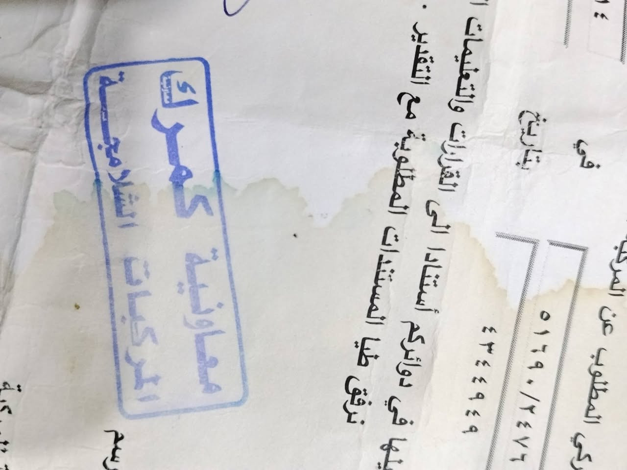 للبيع شاصي ايراني اصلي اوراق اصولي كفاله عامه شرط الفحص عنوان كربلاء شارع فندق   المو شراي. لا يجي   ***********
