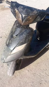 عندي ثعلب للبيع بغداد كوم حديد ب 450 الف بيها مجال للتواصل واتساب 0772...