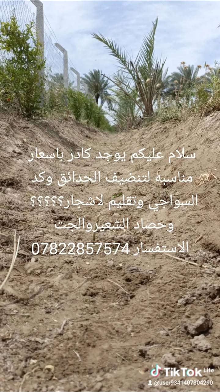 سلام عليكم يوجد كادر باسعار مناسبه لتنضيف الحدائق وكد السواجي وتقليم لاشجار؟؟؟؟؟  وحصاد الشعيروالجت  الاستفسار ***********
