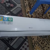 سبلت • مجمدة • للبيع