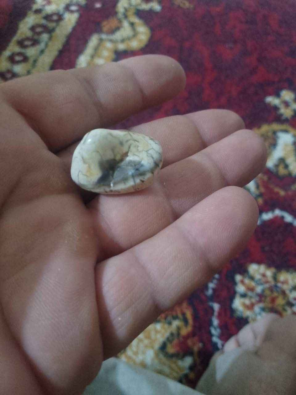 حجر عطف محبه


**إذا كنت صاحب هذا الإعلان وتريد حذفه لأي سبب، رجاءا أرسل رسالة إلى الدعم الفني**