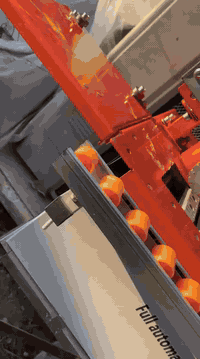 منشار ولاسقه للبيع ***********
