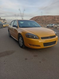 امبالا ٢٠٠٩ • صبغ جديد • رقم بغداد