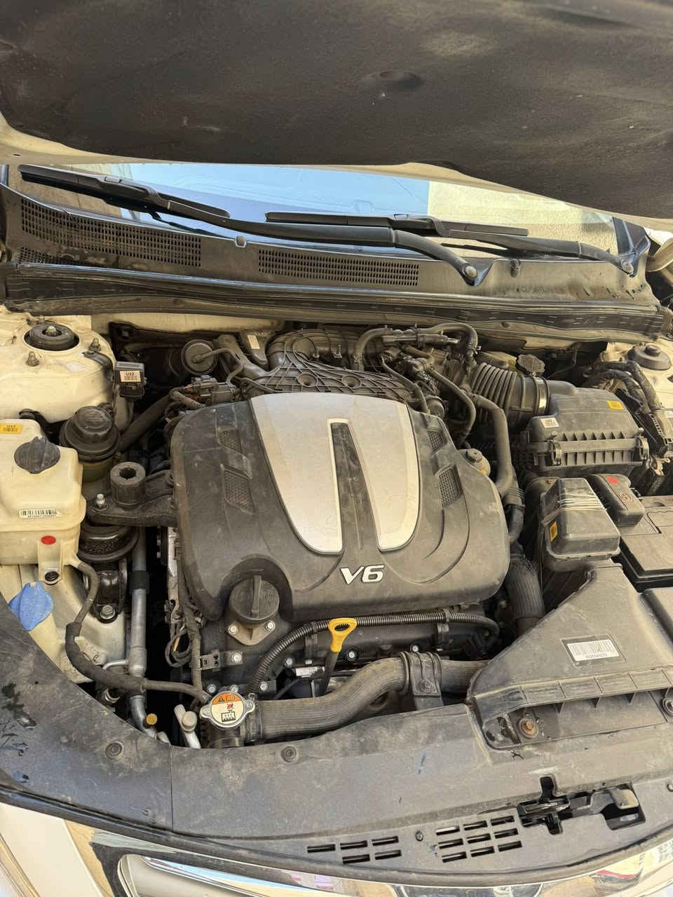 السلام عليكم 
هونداي ازيرا ٢٠١٥ خليجي  ابيض صدفي فول مواصفات ١/١  رقم بغداد بسمي محرك ٦ سلندر
ماشية ١٢٠ الف كيلو حقيقي مواصفاتها  فتحة سقف بنراما زراك لايت امامي
  حساسات امامية وخلفيةلدات امامية وخلفية لايت عدسة دوارة اربعة دسك  مانع انزلاق وAbs 
داخل جلد قرميدي كشنات كهرباء الامامية فول تحكمات ستيرن كروس سرعة 
سستم سماعات ١٢ سماعة بردات خلفية بلادية بردة جامة خلفية اوتماتيك بلادية 
محرك ٣٠٠٠ بلادي وكير بلادي قطعتين تبريد تخم تاير جديد صدر امامية خلفي ممتاز 
السيارة جاهزة اخوان السيارة بيها صبغ قليل كلش بين الجاملغ والباب الامامي جهة الراكب اثر طخة بسيطة بدون فتح الباقي مكفول  من كلشي والصور
 كدامك سيارة بلادية رايدها ب١٣٣ وبيها مجال بسيط لشراي  
مكاني بغداد / حي الجامعة / ***********
