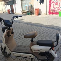 دراجة شحن • حجم 16 • كوت الكريمية