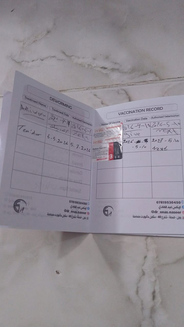 للبيع 100 الف بي مجال  مكاني بيااااع تفاصيل بلصور او خاص او *********** بي واتساب وشكر جميع علفعل خير
