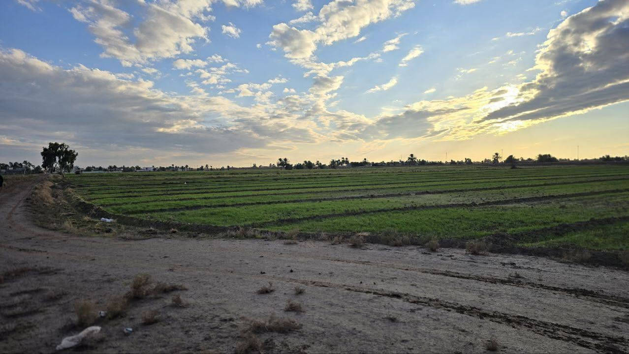 موقع مرتب تاجي ذراع دجله ✅
مقابيل سبع البور 
جايبلك دوانم حلوه ومرتبه سعر
الدونم الواحد 29 مليون وبي مجال واجهيه الدونم الواحد 50والزال 50
موقع مرتب وترفيهه لاصحاب الرفاهيه يبعدن عن التبليط
200 متر جنس الارض طابو زراعي سند 25
الخدمات ماء وكهرباء ومدراس تباع تقطيع حسب الطلب🧾 المساحه 15 دونم
فتح بيان ثاني يوم بأسم المشتري وضمان حق
المشتري ما اخذ منك ربع دينار اذا ما افتحلك بيان  بلتسجيل العقاري للاستفسار *********** واتساب
وتساب  ***********
