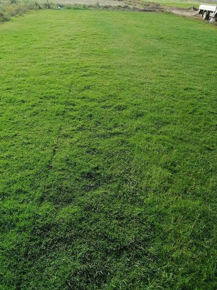 يوجد ثيل طبيعي يوجد توصيل مجاني رقمي *********** وتساب
