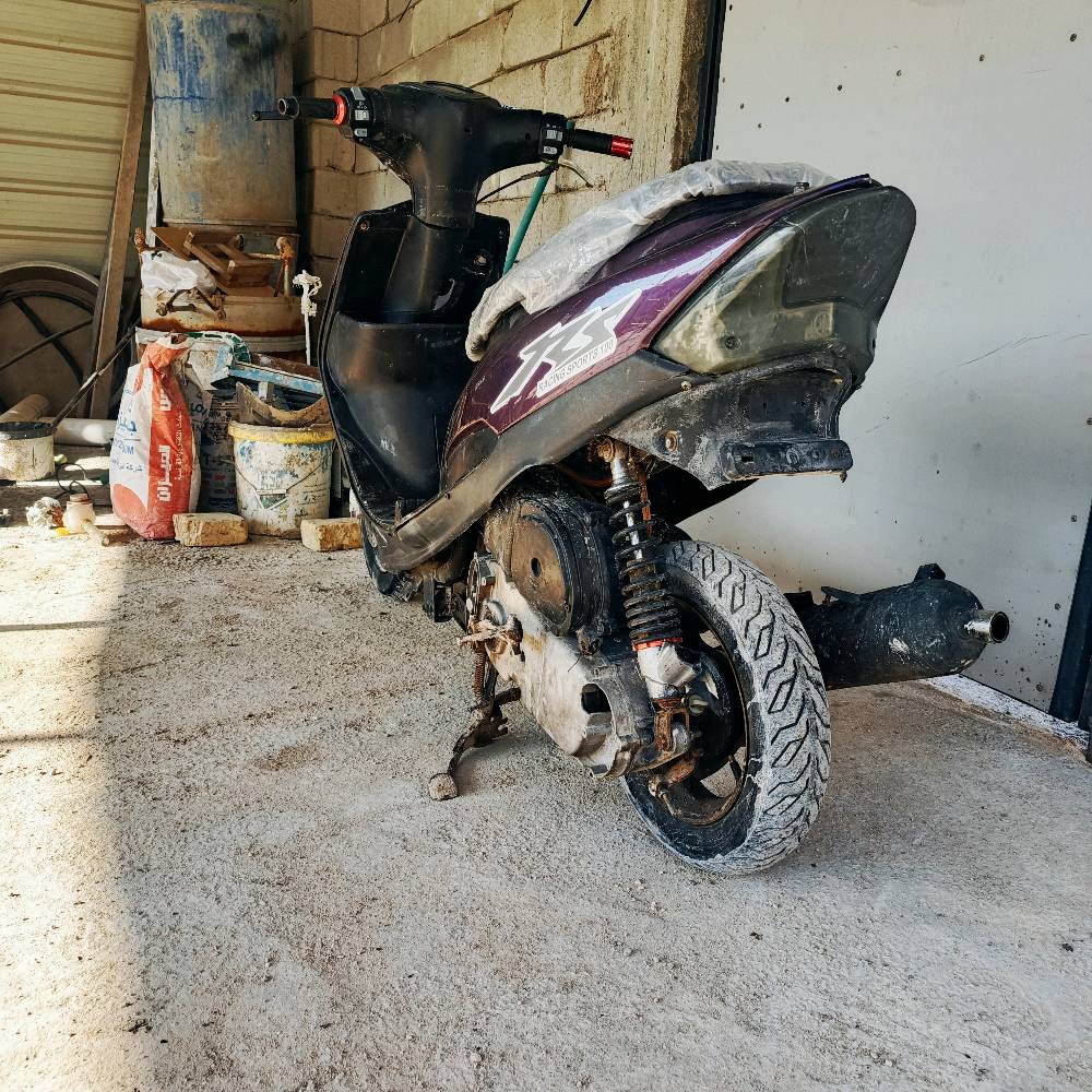 سماوه عصافير