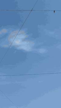 ماريد اكثر بل حجي تايكر 2020لا صرف ولا نفخ محرك اخرس السعر 300وبي مجال لطيبين الشراي يخبر مكاني جانب الايمن سبب البيع  طالب مدرسة ***********
