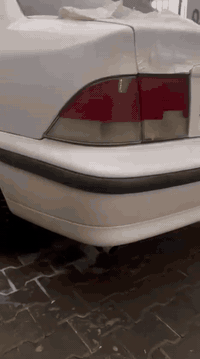 سلام عليكم سمنت 11سيارة حلو تخم تاير جديد تبريد ثلج حداديه اماميه خلفيه سياره حلوه  جاهزه السنوية ال30العنوان البصرة عشار التميمي بيهة خيط تبخير قليل كلش السعر 35وبيهة مجال حلك الجيه الموشراي الخابر رجان ***********
