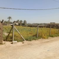 كوفه علوت الفحل • ١ دونم • طابو زراعي سند ٢٥