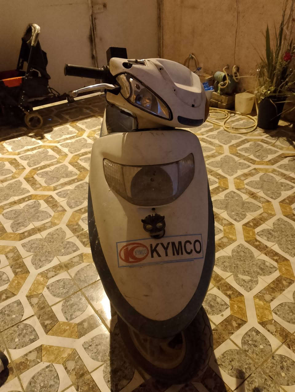 سلام عليكم للبيع كوم حديد كامكو جاهزه عاوزه بس تجفيت كل قرضها كابريتا جديده طائرات جدد كفر نظيف عوزه بس تجفيد السعر 150 وبي مجال مكاني نجف


**إذا كنت صاحب هذا الإعلان وتريد حذفه لأي سبب، رجاءا أرسل رسالة إلى الدعم الفني**