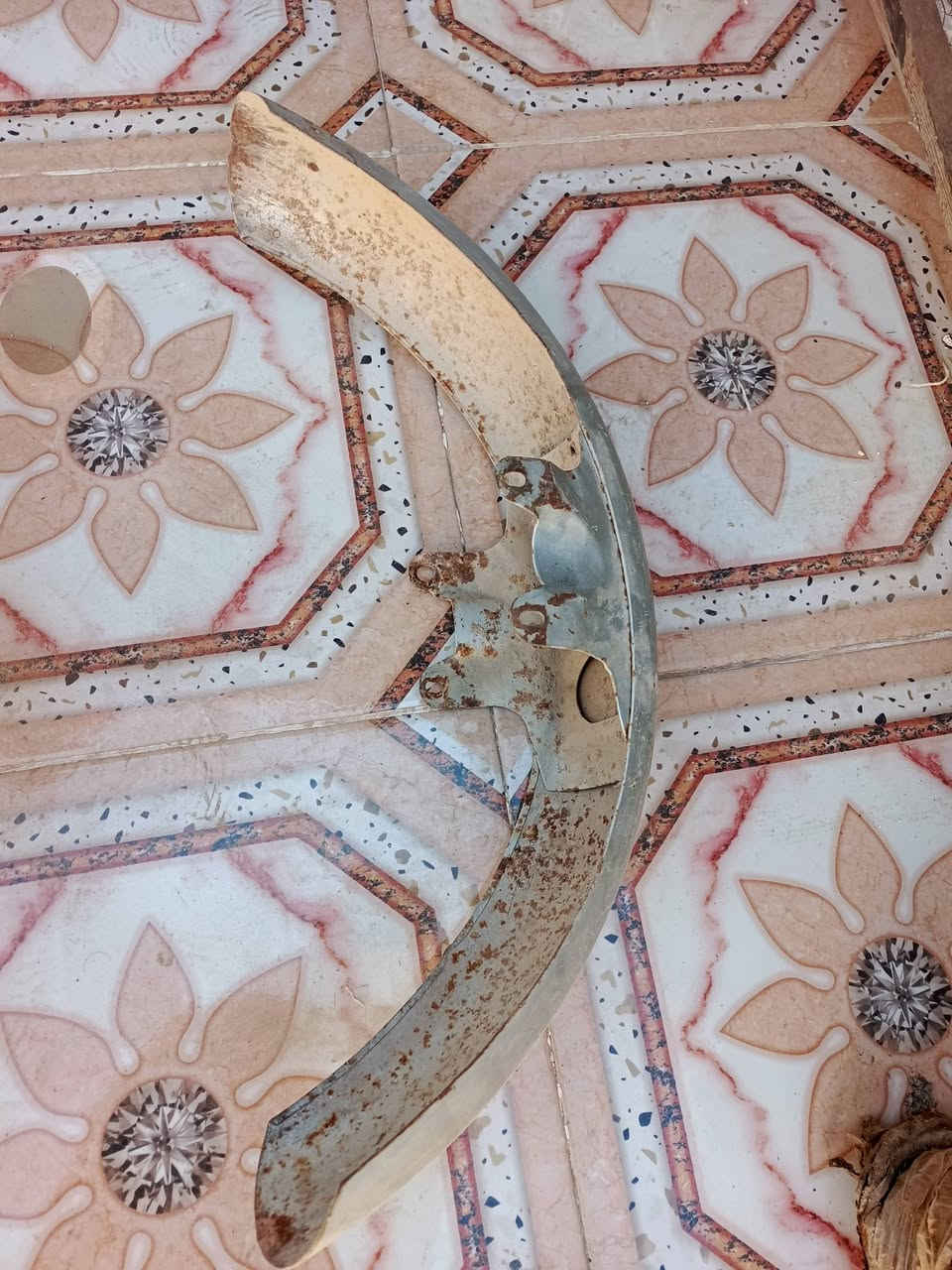 السلام عليكم جامروغ خالفي 81 وجامروغ مال 82 للبيع سعره واحد منها 40الف مكان صلاح الدين قضاء بلد ستفسار تصل على ارقم ***********
