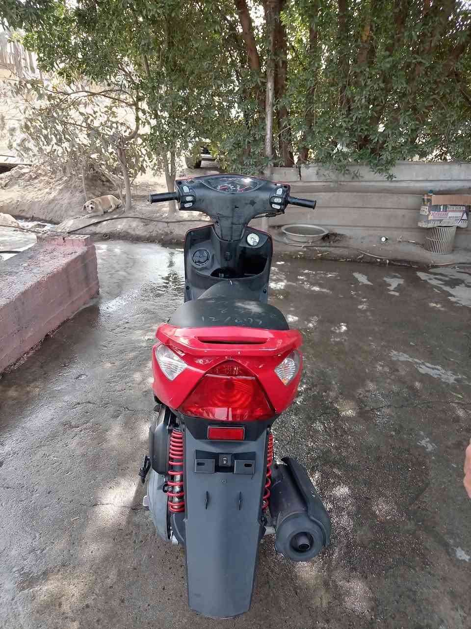 السلام عليكم دراجه ماكس ثعلب دراجه حلوه وناعمه السعر 550المكان بغداد حي العامل مكلف 
بل نشر رقم صاحب الدراجه
 ***********
