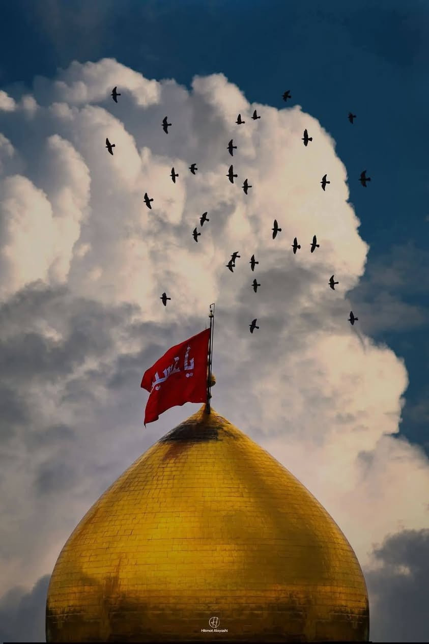 🖊 السلام عليكم حملة. الحاج  (سيف العجياوي) 🪩
تعلن حملتنا ألى زيارة #كربلاء_ألمقدسة يوم الاثنين

يوم الاثنين

سعر النفر6000الاف💵🪩

ألذهاب الساعة 00: 1🕐 ظهرا🪩    د{ مكيف/🪩

العوده الساعة 00: ,10🕙 ليلا🪩     باص رقم ، واحد🪩

باص🚍 سياحي💺 حديث مكيف🪩

💢ونتشرف بحضوركم وخدمتكم وهي شرف لنا 🪩

للحجز والاستفسار الاتصال ع الارقام التالية🪩 ☎️(***********) 🪩

والرقم  ☎️(***********)  🪩

مكان ألتجمع⬇️ قرب جامع الدكتورة وفاء🪩

ومكان اخر قرب شارع الحلة(الغطاس)🪩
