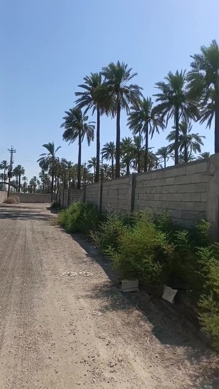 يالله سلام عليكم
دونم طابو سند ٢٥ملك صرف
مشجر بالكامل نخل مسيج 
خدمات كامله كهرباء تبليط ماء أسأله وسقي 
موقع بالكامل مزارع وشاليهات
قريب على نهر دجلة
العنوان المداىن قرب شارع سيد علي
للاستفسار الاتصال على ***********
