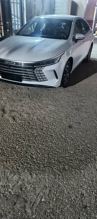 دسترويل • ٢٠٢٥ • النجف الاشرف