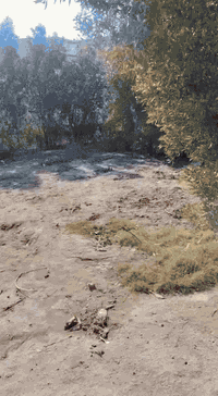 الفلوجة • حي المنصور • ١٥٠م