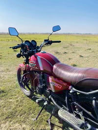 دايوان 2023 • نضيفه • ديالى شهربان