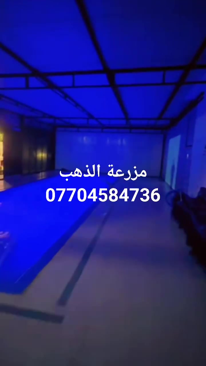 تعلن مزرعة الذهب عن توفر حجوزات طيلة ايام الاسبوع
# موثقه بتطبيق اجرلي
# المساحه دونم كامل
# مسبح كبيرمغلق  مي حار او مفتوح بنفس الوقت
# كرة طائرة
# انتريت ٢٤ ساعه
# كهرباء مولدة كبيره اوتو
# العاب اطفال 
# بليارد
# فيشه
# منضدة
# بلازما قنوات مشفرة
#غرفتين نوم موثثه بشكل ممتاز
# صاله كبيره جدا
# مطبخ كامل 
# باربكيو جميع انواع الشوي
# حديقه كبيره جدا 
# مغروسات كثيره جدا
# تحتوي على بستان حمضيات
للاستفسار والحجز الاتصال
***********
