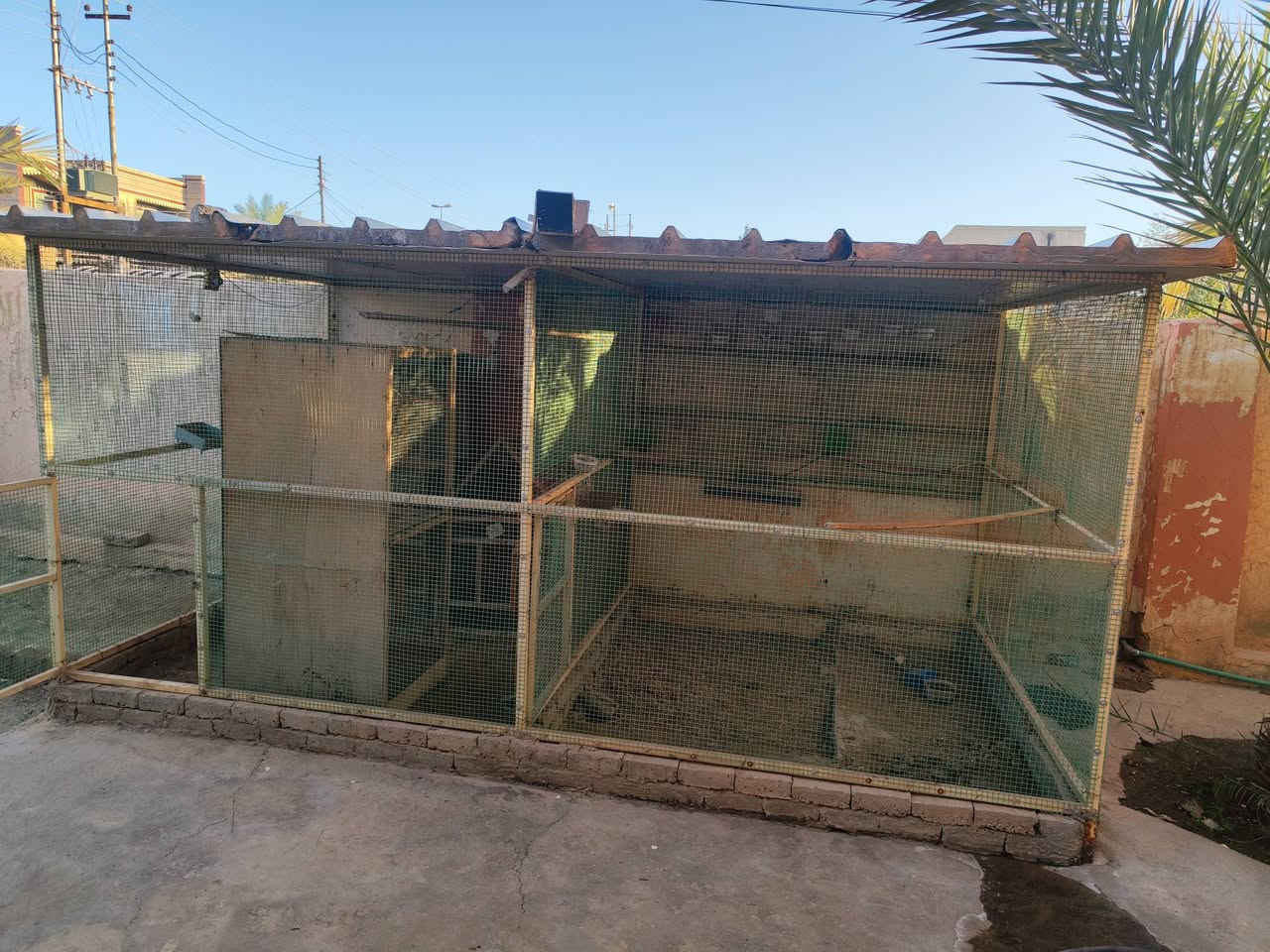 متاح قفص للبيع حديد ثقيل سقف سندويج سيم ثقيل مغلون الطول 4 متر العرض 2 متر الارتفاع 2 متر القفص مقطوع نصفين سعره 250
رقمي ***********
