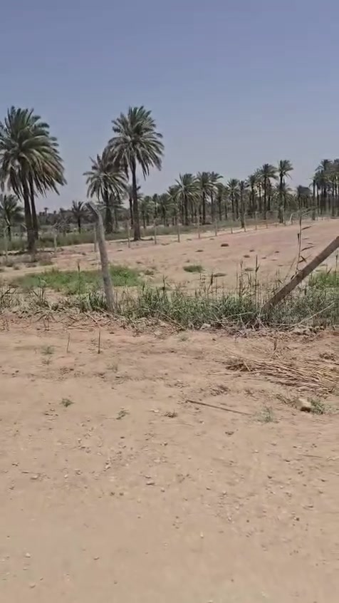 السلام عليكم 
دونم للبيع طابو ملك صرف تحويل مباشر العنوان شارع 100 الرابط بزل حجي علي شارع الوائلي السعر 145 بي مجال للاستفسار الاتصال 
***********
***********
أو زياره مكتب 🛣️ السور الامين شارع 100 قرب مدرسة الطفوف
