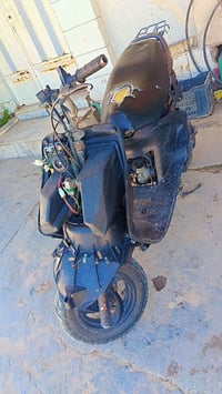 فراشة • مامفتوحه • معدل فحل