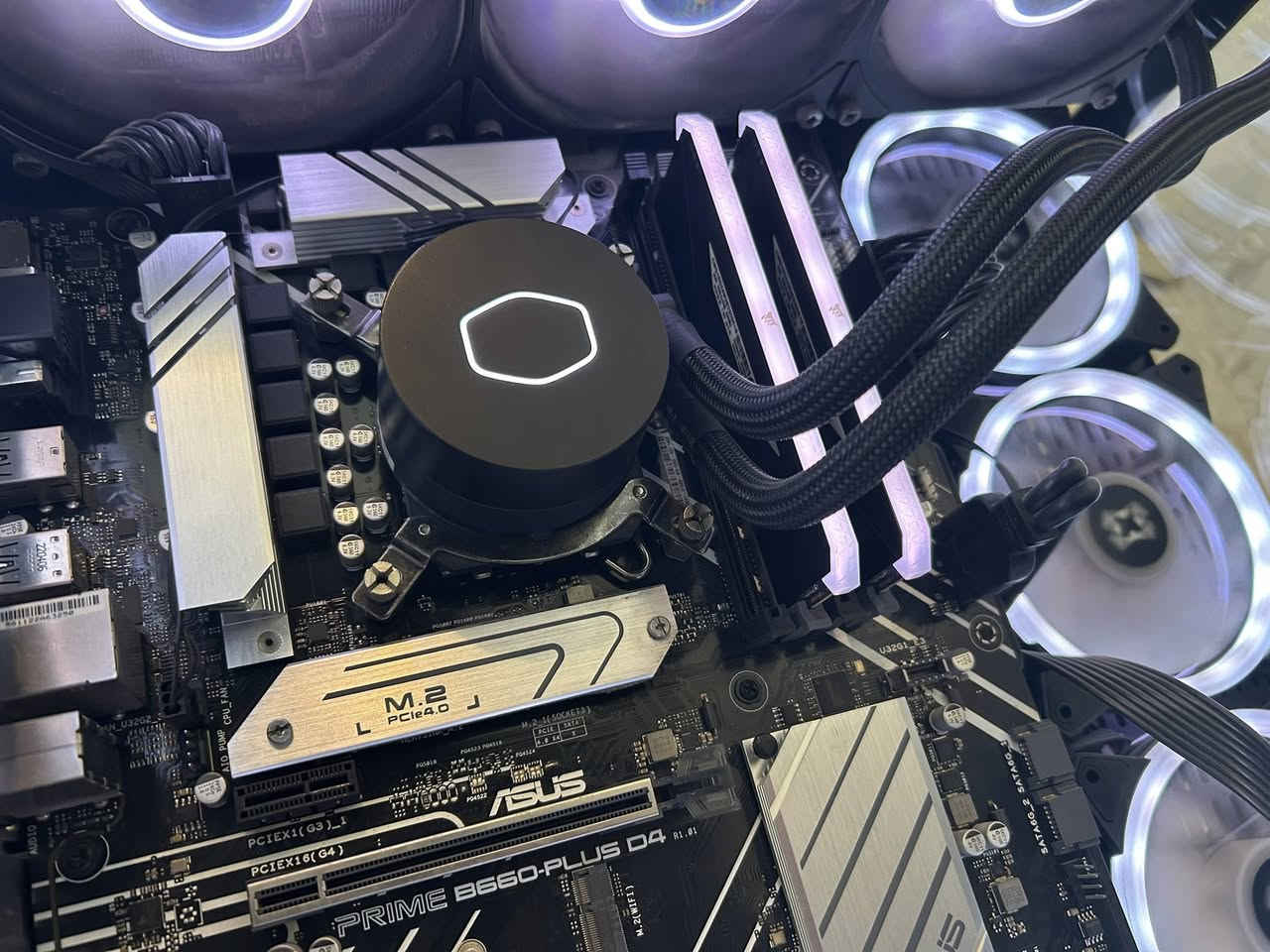 السلام عليكم كيس بدون كرت شاشة للبيع
المعالج i712700 بي كرت شاشة مدمج
البورد b660-plus ddr4

التخزين 1t m.2 samsung 970evoplus- 2t Hdd- ssd256

الرام 8*2 corsair 3200

Psu 800watt fsp

الكيس xigmatek aqua v ضايف عليه 3fan يعني المجموع 10fan

مبرد مائي cooler master 360m 

مكاني بغداد الشعب حي البساتين

اعلى سعر ابيع 

للتواصل واتساب ***********

ملاحظة: احسب اسعار القطع يلا تنطي سعر رجاءاً 🫶🏻.
