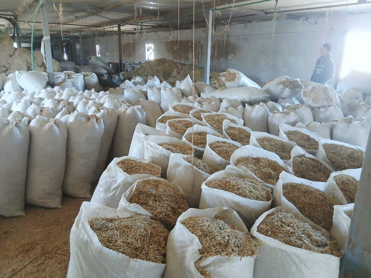 تبن مال شعير درجه اولى ناعم ***********  واسط قضاء الحي
