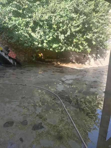 دار للبيع في الرشيدية في القطاع الأول قرب جامع الشمام مساحة 333م بناء شرقي  سند ملك 
***********
***********
