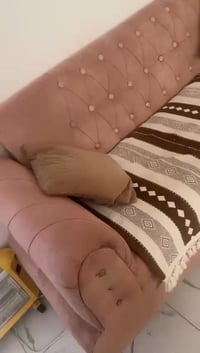 تخم • ٨ مقاعد • بي مجال