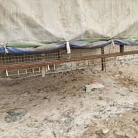 محجر مال فحل للبيع بي بوابات ينفتح اليفوك مكان بغداد مدينة صدر تصال 07...