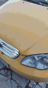 سلام عليكم بي واي دي f3موديل 11بسمي مصفره هيئه وغرامات كامله بيها خياس بل هلال مكاني بغداد الشعب السعر ٤٢ وبيها مجال ***********
