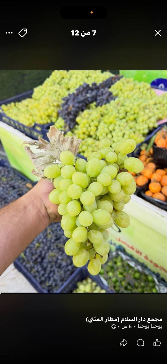على بركة لله يتوفر لدينا جميع انواع الخضار والفواكه وبسعار تنافسيه  مسواك كله جديد يوم بيومه درجه اولى 
طماطه 750
بتيته 750
خيار 750 
اللاستفسار على رقم ‏‪***********‬‏ يوجد واتساب  ويوجد لدينا توصيل
