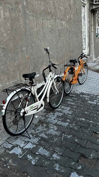 باسكليتين • سانتوس ٢٢ • كلوف ١٩