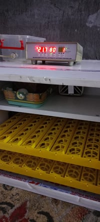 فقاسة بيض • ٢٠٠ بيضة • الغراف