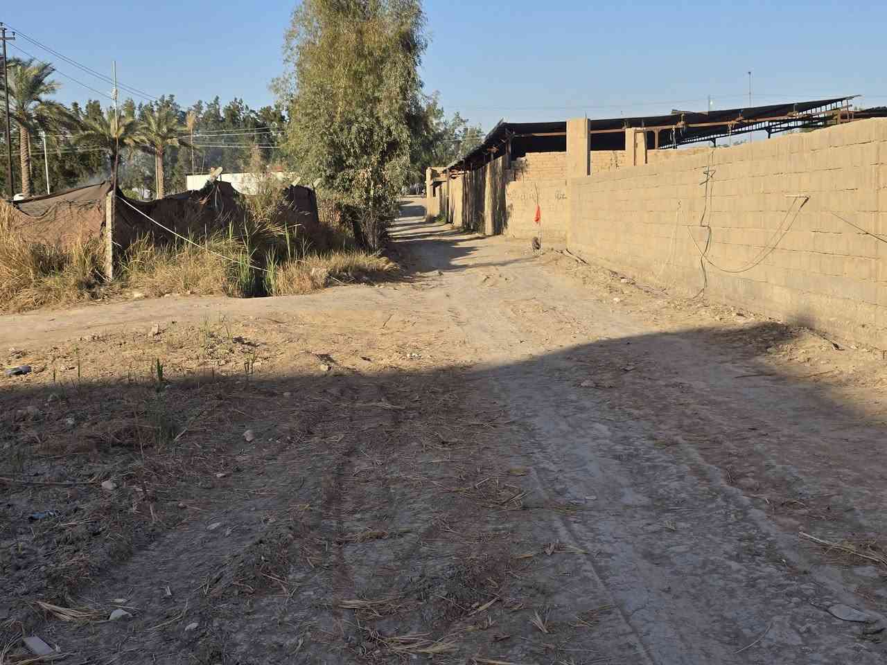 قطعة أرض للبيع
المساحة: ٨٠٠ متر مربع
الموقع: الحلة – بغداد قرب كوين بارك
تبعد عن كوين بارك حوالي ٥٠ متر تقريباً
وتبعد عن الشارع العام حوالي ٨٠ متر تقريباً
🔹 يحدها شارع من ثلاث جهات
🔹 مناسبة للتقسيم إلى ٤ قطع بمساحة ٢٠٠ متر لكل قطعة
🔹 سند ٢٥ زراعي
🔹 متوفر كافة الخدمات
🔹 موقع مميز جداً وقريب من المناطق الحيوية
السعر: مناسب جداً مقارنة بالقطع المجاورة
للاستفسار الاتصال على الرقم: ***********
أو مراسلة الصفحة مباشرة
