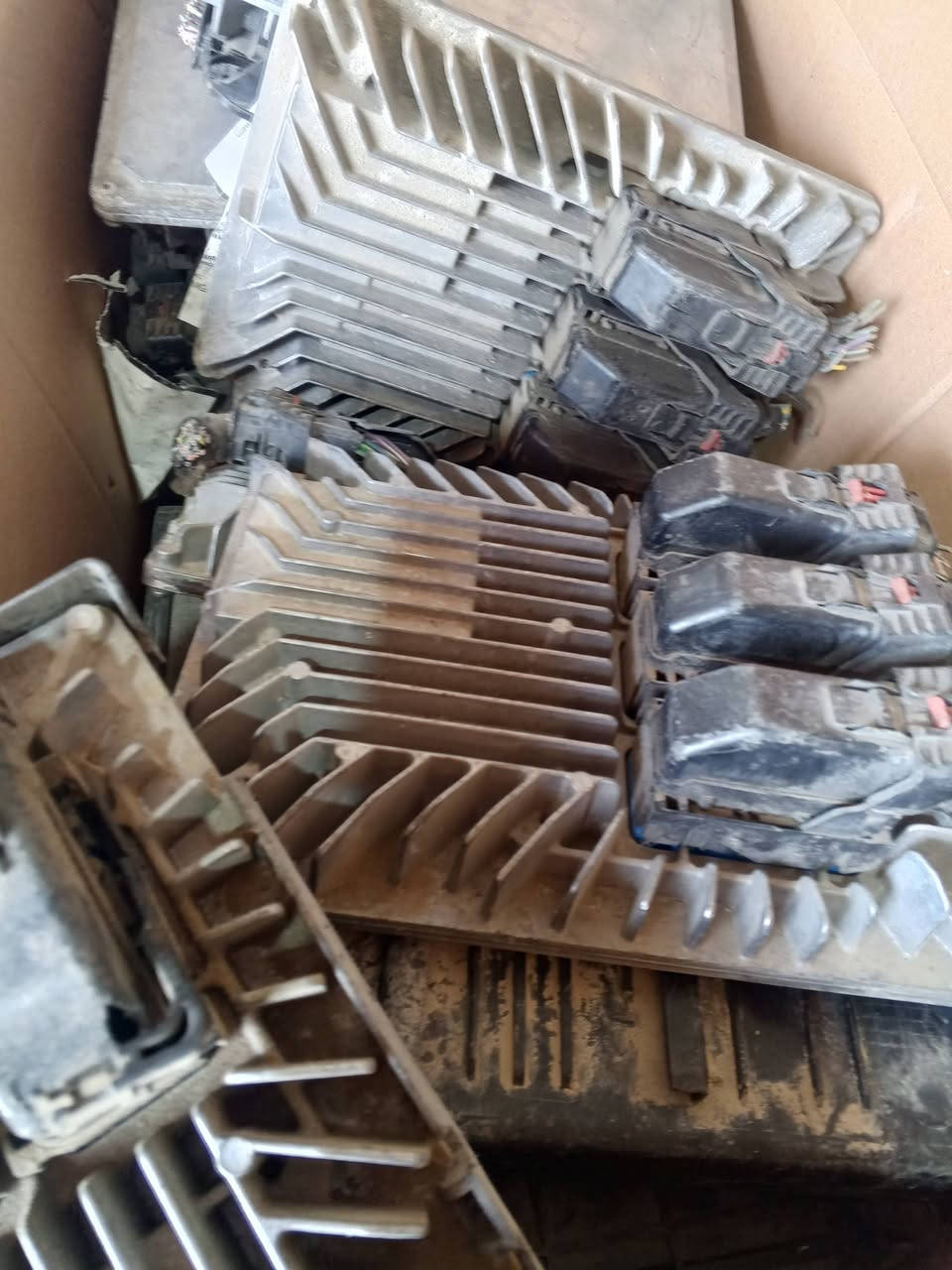 وصول عقول امبالا امريكي
للبيع جمله فقط 
الاتصال على الرقم التالي ***********
وات ساب........... ***********
ملاحظه يوجد الدينا خدمة توصيل كافه محافظات
