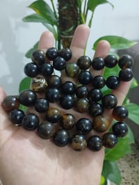نوادر الكهرب • ٤٥ حبة • بدون شاهد