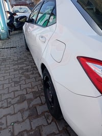 كورلا ٢٠١٤ • وارد كندي • كفالة كير ومكينه