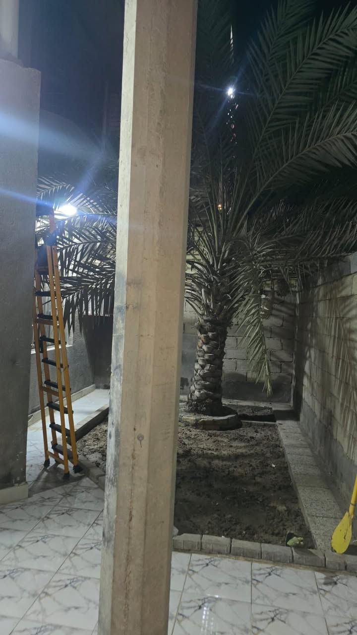 بيت في حي الحكم مقابيل مدرسه الحبوبي اوجامع ضياء الصالحين المساحه ٢٧٠ متر ركن شارع 20 متر على شارعين يتكون من ٢ غرف نوم وغرفه ثالثه سويت ومطبخ حار بارد وبراني وصاله كبيره وصحيات داخليه وخارجيه مع محل وكراج سيارة 🚗 وحديقه واسعه وطارمه أيضا للاستفسار مراسلة الصفحة او على الرقم ***********
ملاحظة (نستقبل كافة العروض العقارية)
