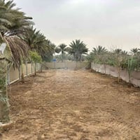 طابو زراعي • ٥٠٠م • شارع بغداد كربلاء