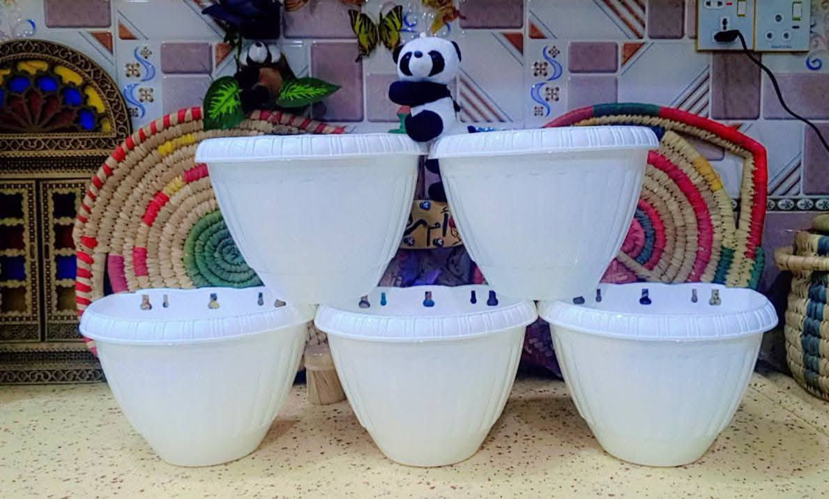 يتوفر لدينا جميع اكسسوارات نباتات 🕊️🐼🦊 توصيل كل محافظات العراق 🚕 
الزرع لعرض فقط 🪴 
يتوفر جمله ومفرد 🦊🐼 
سارع لحجز كميه محدوده 🎊 
حجز على خاص ☎️
☎️***********📞
