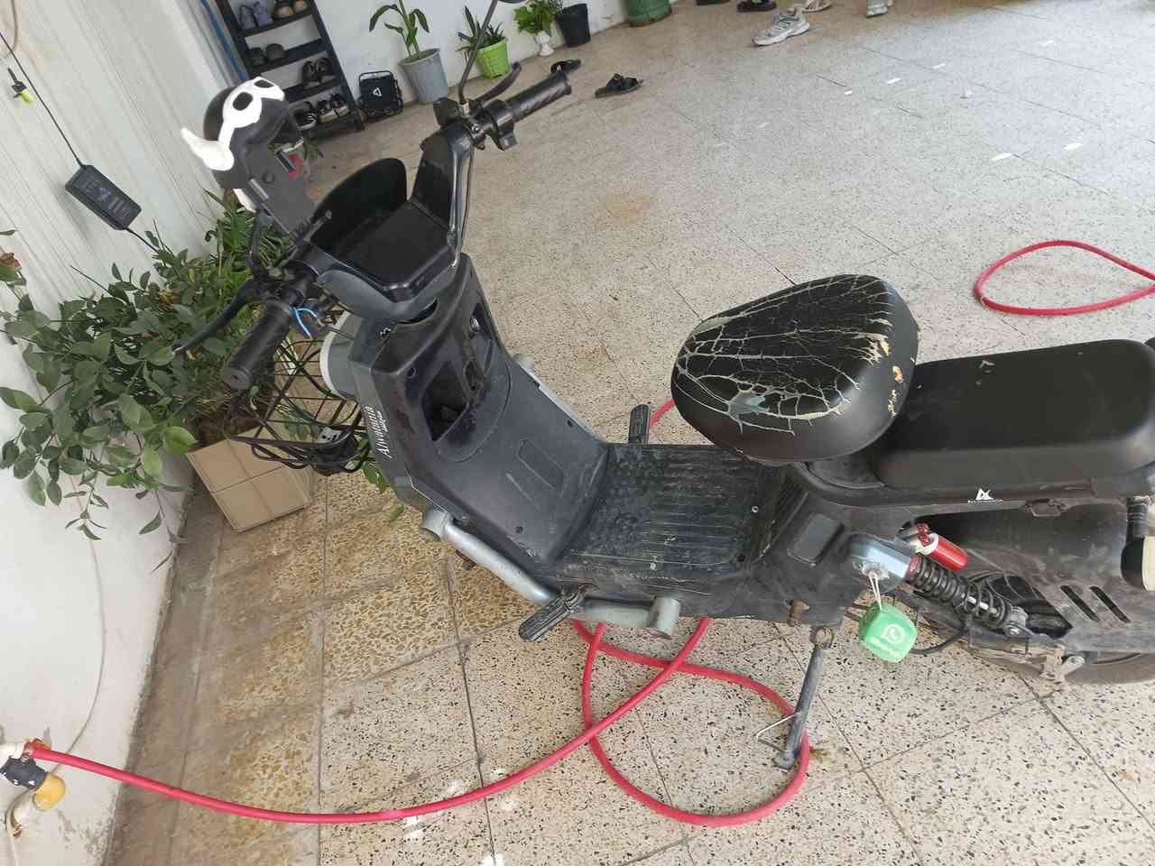 سلام عليكم ماطور سكل للبيع
صناعت الوطنية انطيك شرط الفحص كلو شغال  عطلو الماشة
والدرع بي كسر وموجود القطعة مالو
يروحلك 35 الف بس
والسعر 220 الف وبي مجال للطيبين بيع مستعجل


**إذا كنت صاحب هذا الإعلان وتريد حذفه لأي سبب، رجاءا أرسل رسالة إلى الدعم الفني**