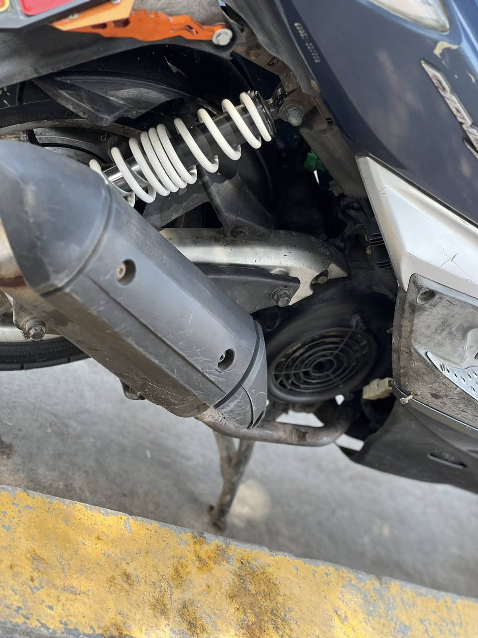 سلام عليكم سكنس فحل نوزل ملحه مكفوله كفاله عامه مال رمبه مكاني الاعظميه سعرها 850 وبيها مجال  رقمي ***********
